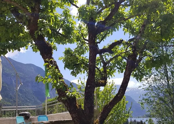 Casa vacanze Kopriwa